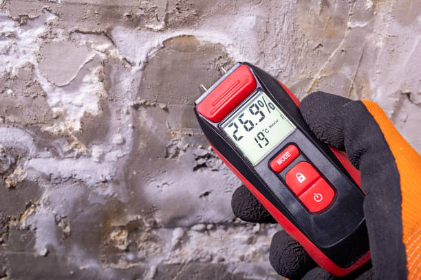 Best Mold Removal Company Near Me  in Cleveland, MS