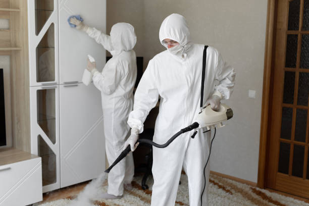 Certified Mold Removal in Cleveland, MS