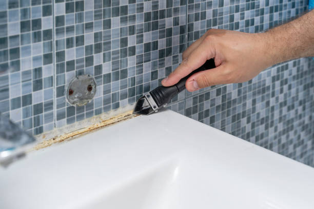 Best Certified Mold Removal  in Cleveland, MS