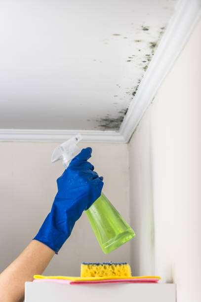 Best Mold Testing  in Cleveland, MS